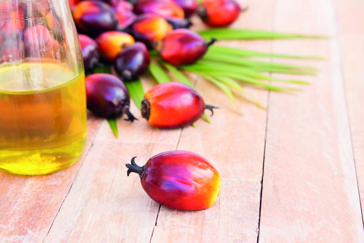 Palm Oil