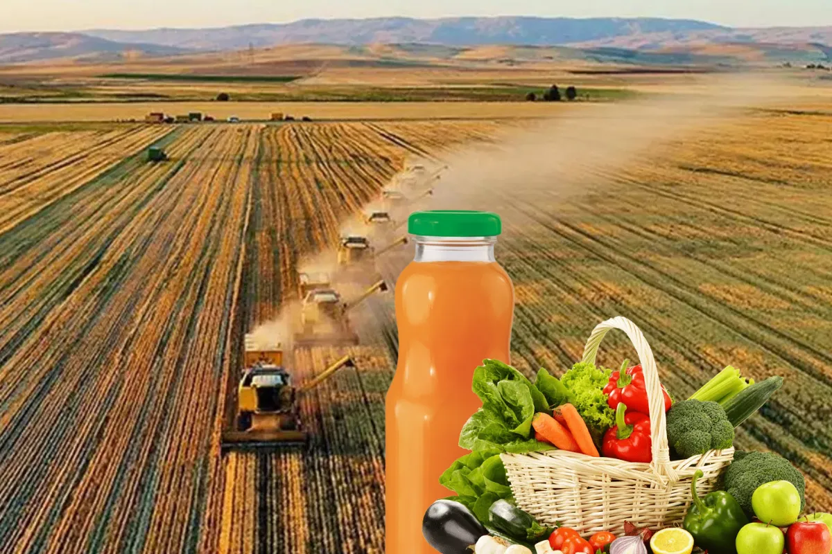 Food import 101: TAREKS, Health Certificate, Analysis