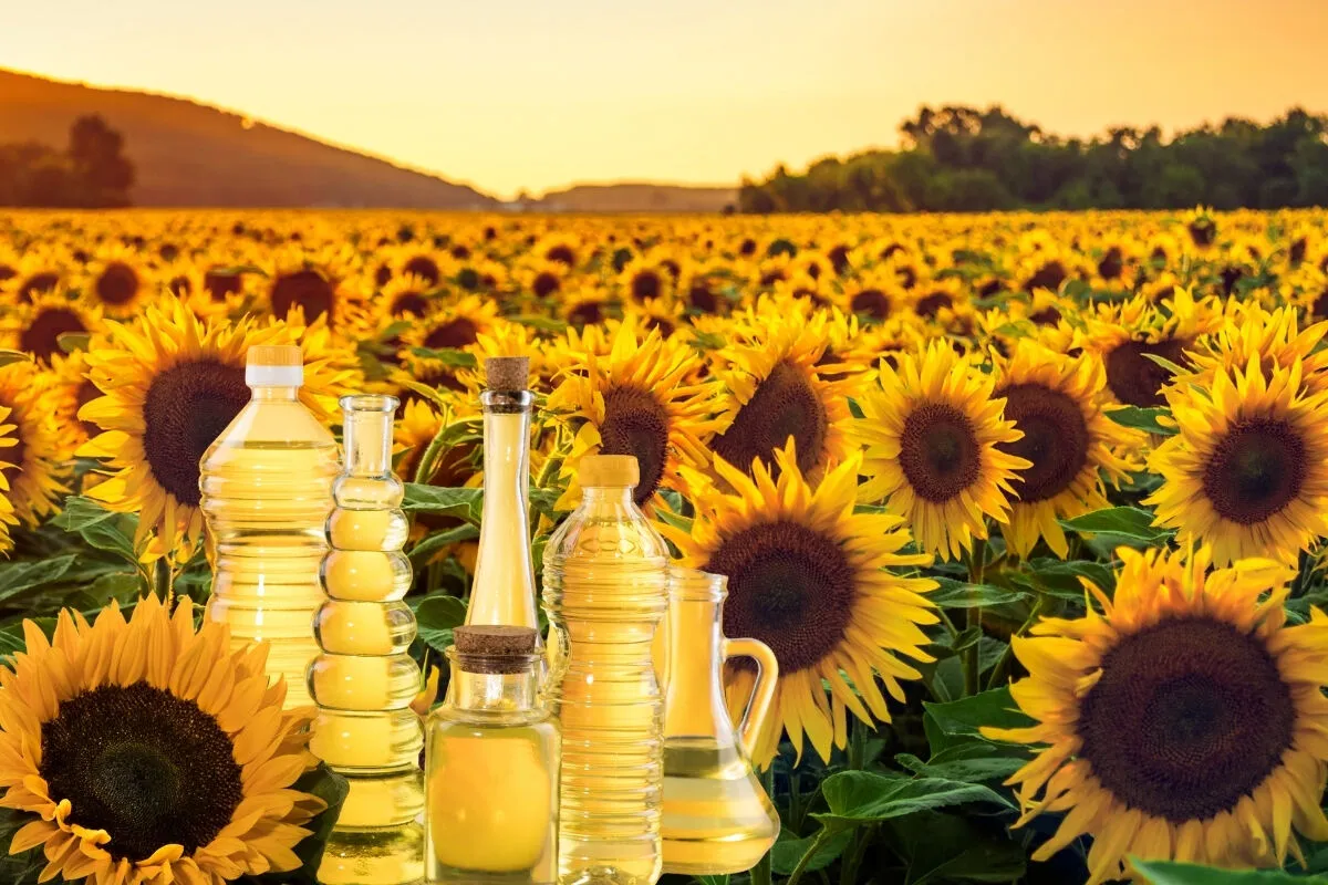 Vegetable Oil Exports: Quality Parameters and Specifications