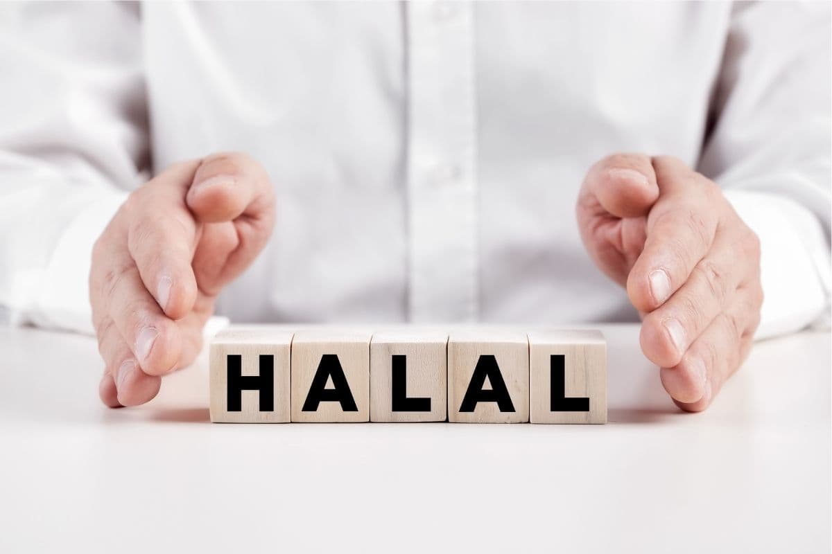 Halal, ISO 22000, HACCP: A Quick Guide For the Importer