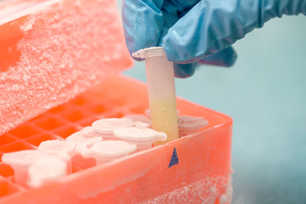 Cold Chain Management: Reefer Container Tips