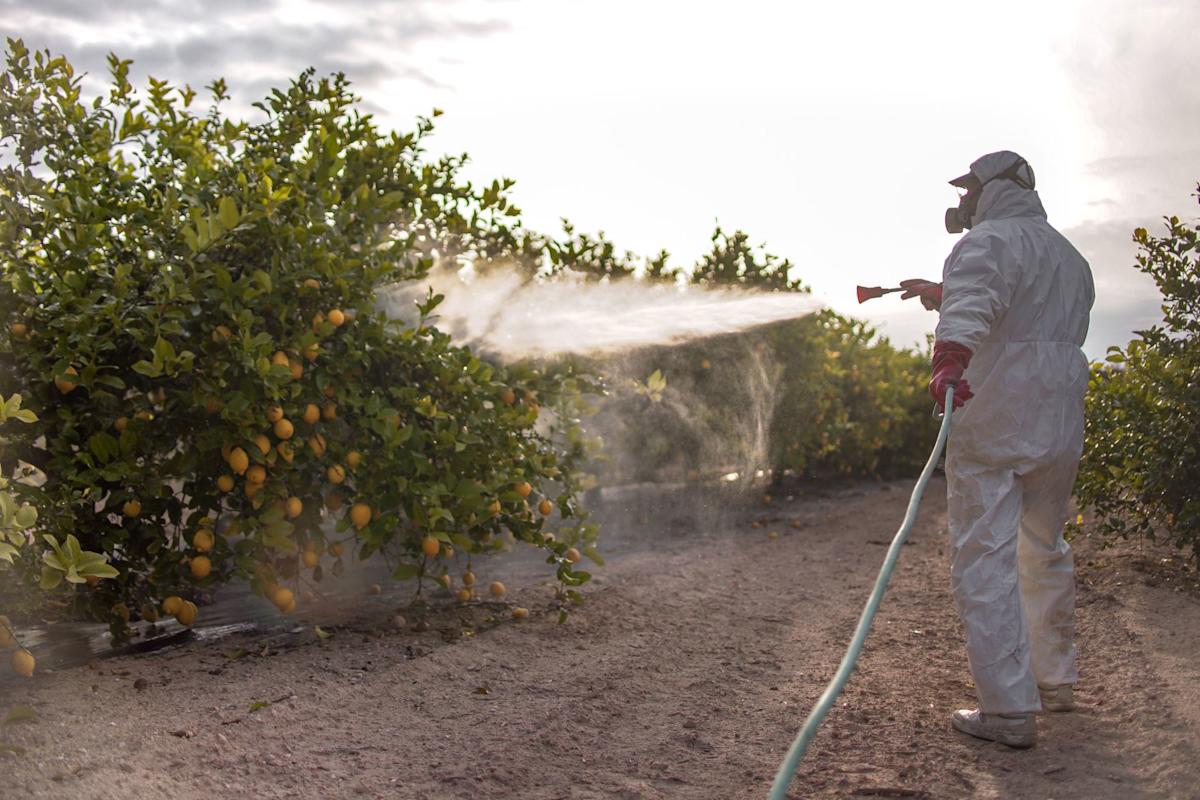 How to Read Pesticide Limits And Compliance Reports?